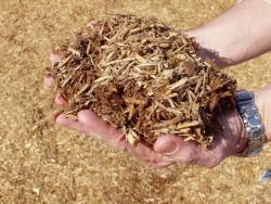 Engineered Wood Fiber